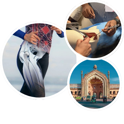 Anterior Hip Anatomy